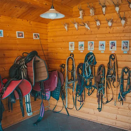 Himmelsbesen - Inselhof Femern