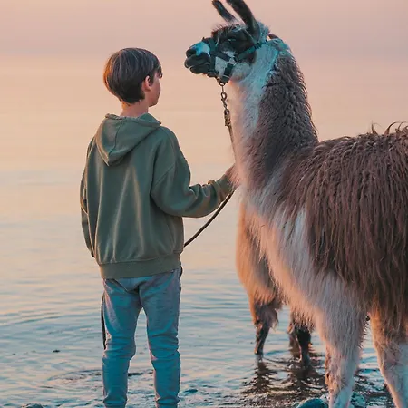 Himmelsbesen - Inselhof * Femern