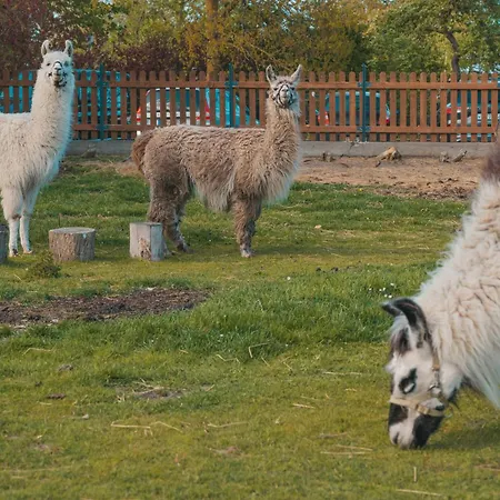 Himmelsbesen - Inselhof * Femern