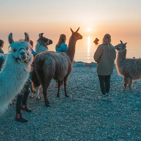 Himmelsbesen - Inselhof Lejlighed Femern
