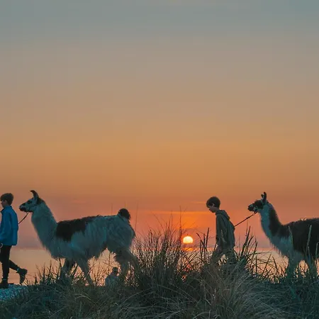 Himmelsbesen - Inselhof * Femern