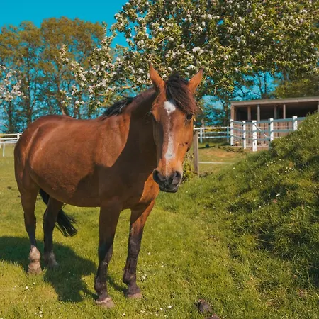 Himmelsbesen - Inselhof